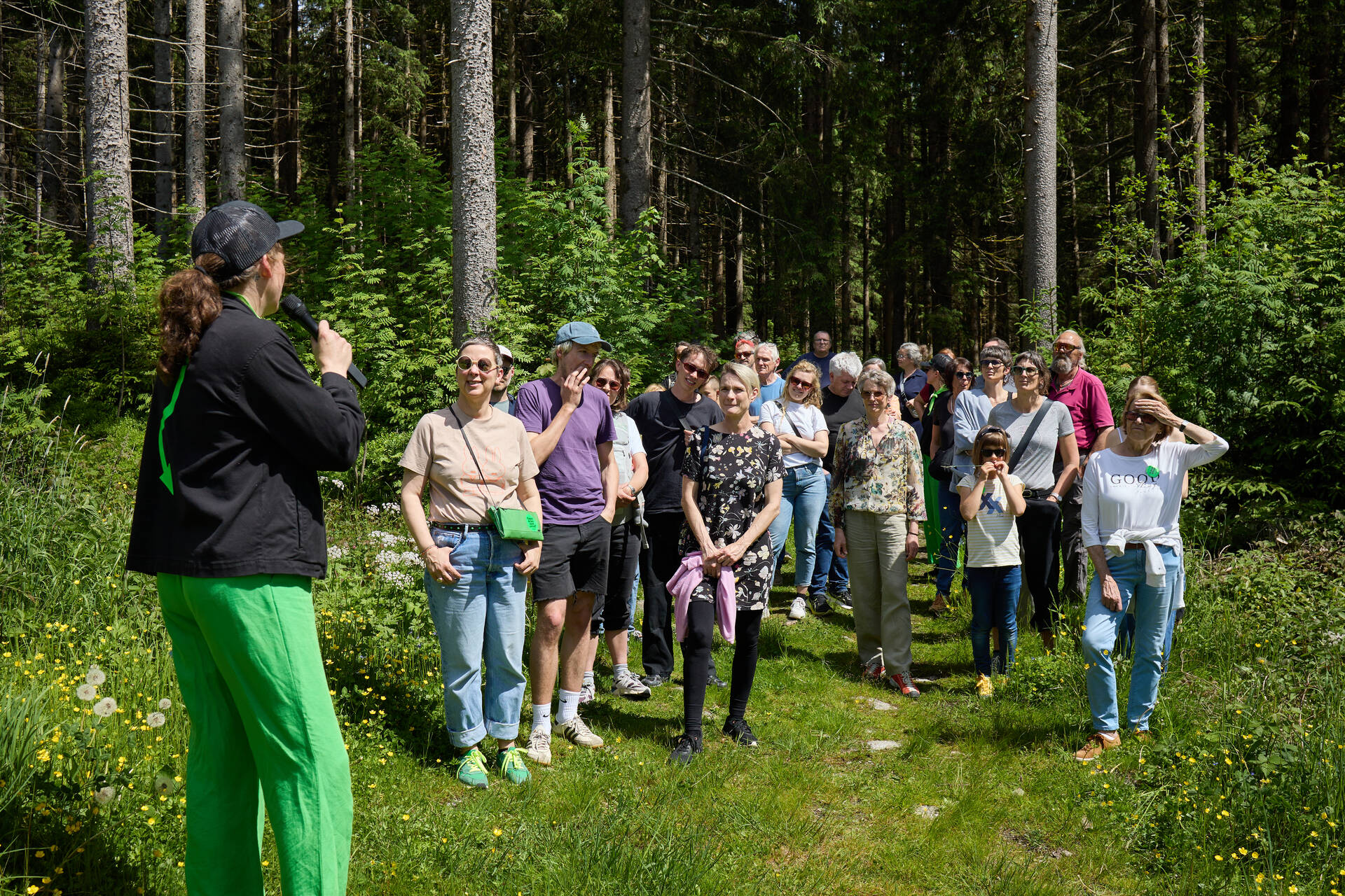 Eine Gruppe steht am Waldrand und hört einer Person beim sprechen zu