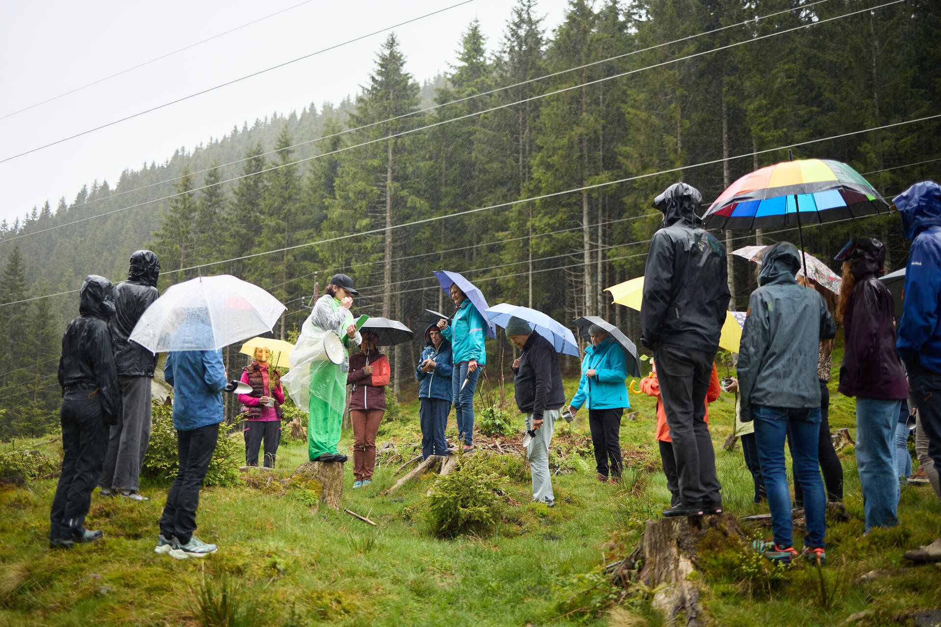Die Gruppe steht mit Regenschirmen im Wald